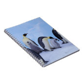 南極大陸, コウテイペンギン ノートブック (右側)