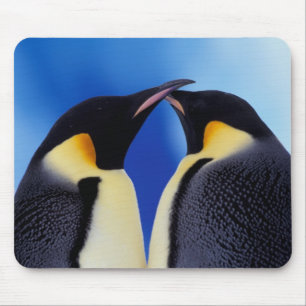 南極大陸 コウテイペンギン マウスパッド