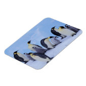 南極大陸, コウテイペンギン マグネット (左側)