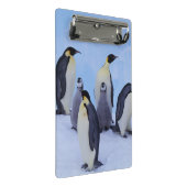 南極大陸, コウテイペンギン ミニクリップボード (アングル)