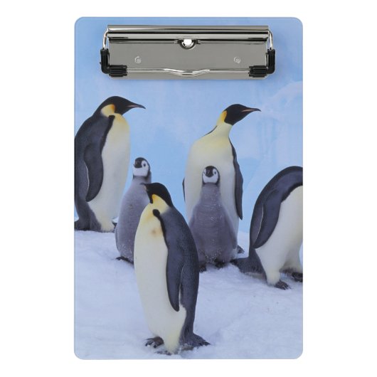 南極大陸, コウテイペンギン ミニクリップボード (正面)