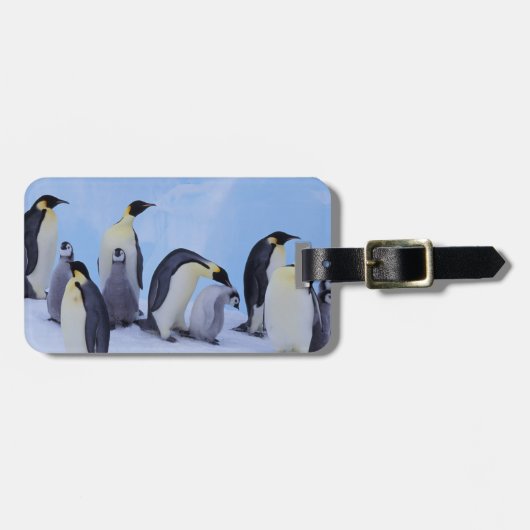 南極大陸, コウテイペンギン ラゲッジタグ (正面横)