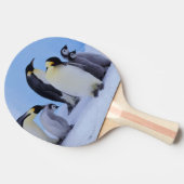 南極大陸, コウテイペンギン 卓球ラケット (横)