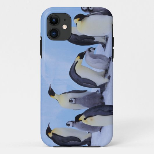 南極大陸 コウテイペンギン Case-Mate iPhoneケース (裏面)