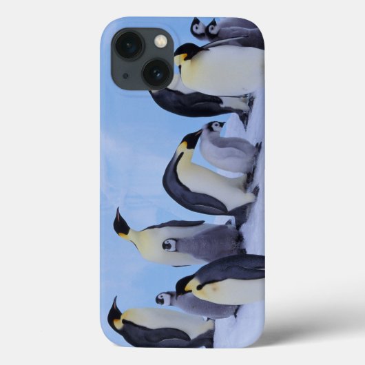 南極大陸, コウテイペンギン Case-Mate iPhoneケース (裏面)