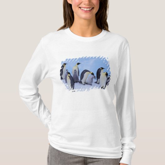南極大陸, コウテイペンギン Tシャツ (正面)