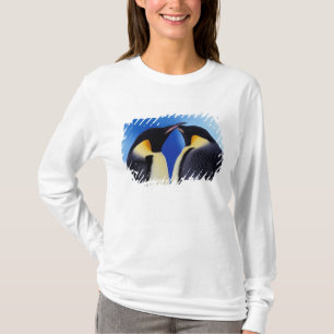南極大陸 コウテイペンギン Tシャツ