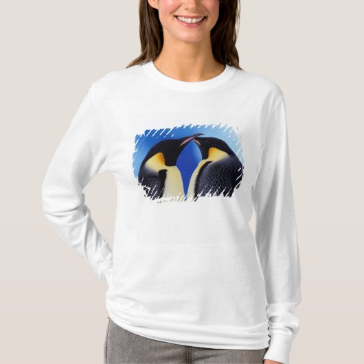 南極大陸 コウテイペンギン Tシャツ (正面)