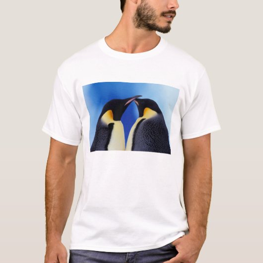 南極大陸 コウテイペンギン Tシャツ (正面)