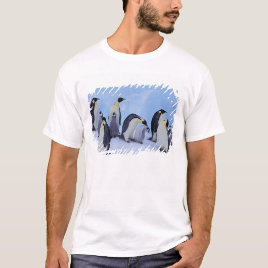 南極大陸, コウテイペンギン Tシャツ (正面)