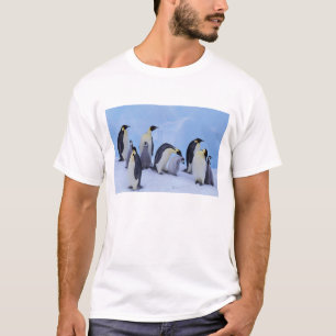 南極大陸 コウテイペンギン Tシャツ