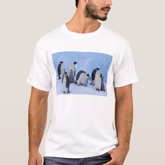 南極大陸 コウテイペンギン Tシャツ (正面)