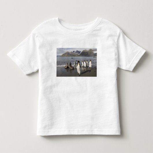 南極大陸・サウスジョージア島 (イギリス領)・南極2 トドラーTシャツ (正面)