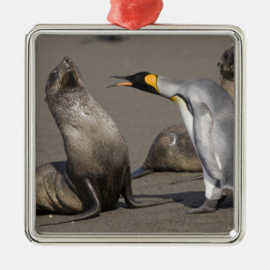 南極大陸, サウスジョージア島 (イギリス), キングペンギン 3 メタルオーナメント