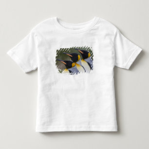 南極大陸, サウスジョージア島 (英国), キング トドラーTシャツ