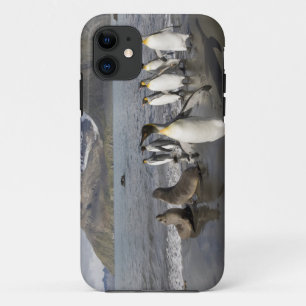 南極大陸・サウスジョージア島(英国)・南極2 iPhone 11 ケース