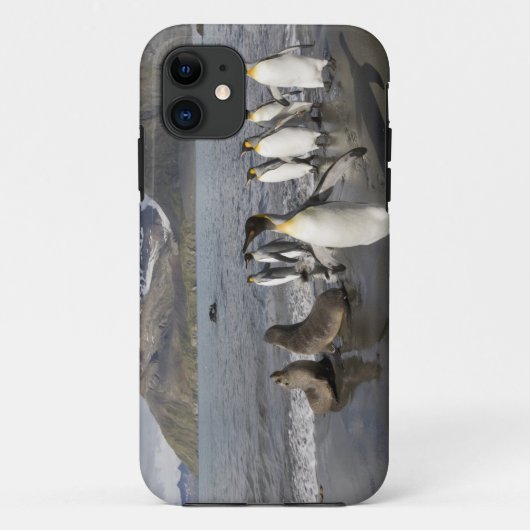 南極大陸・サウスジョージア島(英国)・南極2 Case-Mate iPhoneケース (裏面)
