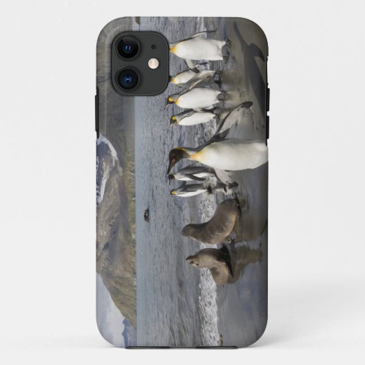 南極大陸・サウスジョージア島 (英国)・南極2 Case-Mate iPhoneケース (裏面)