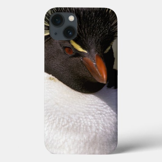 南極大陸、サブアントラークティック諸島、南5 Case-Mate iPhoneケース (裏面)