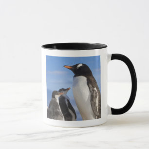 南極大陸、ネココーブ（港）。ジェンツーペンギン2 マグカップ