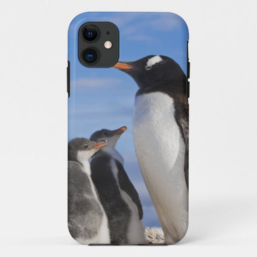 南極大陸、ネココーブ（港）。ジェンツーペンギン2 Case-Mate iPhoneケース (裏面)