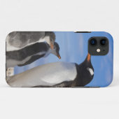 南極大陸、ネココーブ（港）。ジェンツーペンギン2 Case-Mate iPhoneケース (裏面(横))