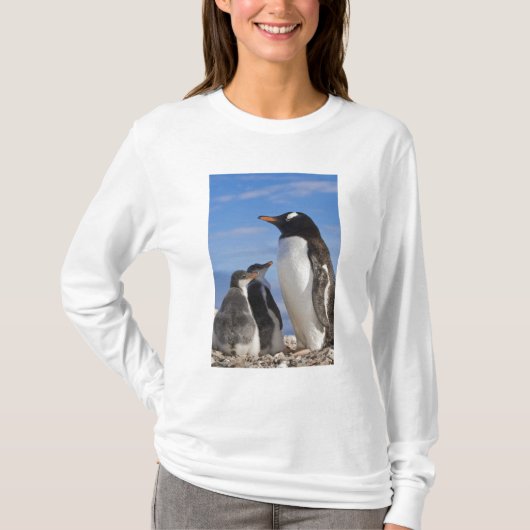 南極大陸、ネココーブ（港）。ジェンツーペンギン2 Tシャツ (正面)