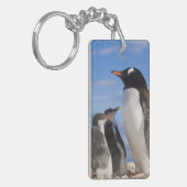 南極大陸 ネココーブ(港) ジェンツーペンギン 2 キーホルダー (正面左)