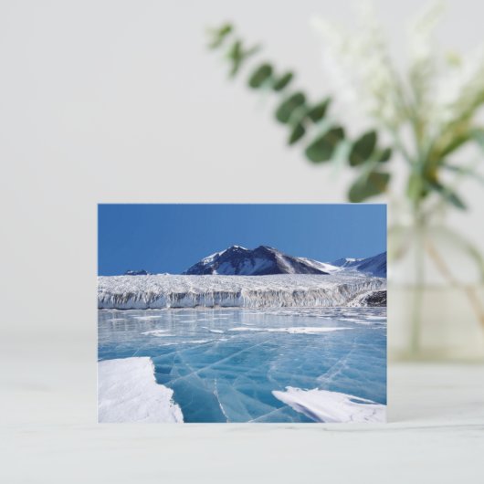 南極大陸 ポストカード (スタンド正面)