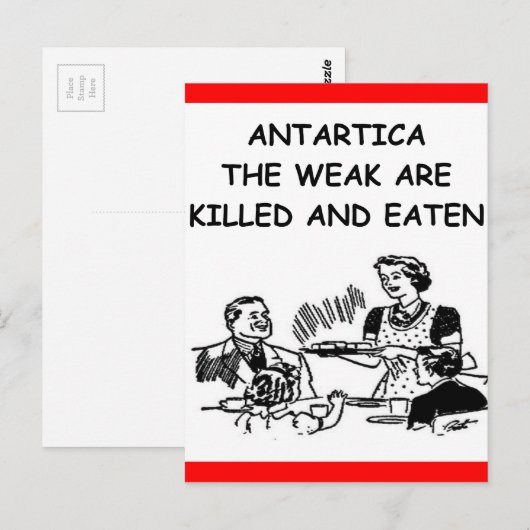 南極大陸 ポストカード (正面/裏面)