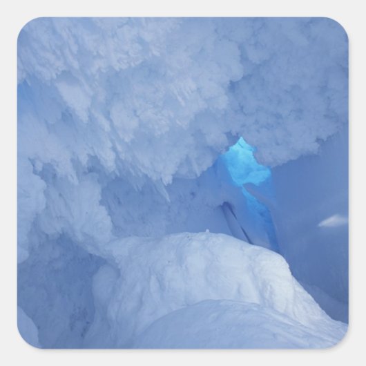 南極大陸、ロス島、エヴァンズ岬、雪の洞窟 スクエアシール (正面)