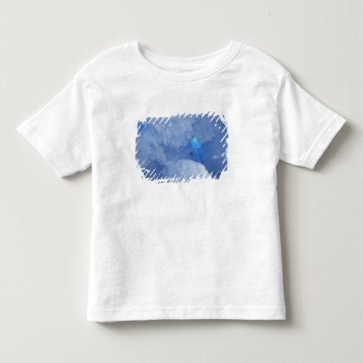 南極大陸 ロス島 ケープ・エヴァンズ 雪の洞窟 トドラーTシャツ (正面)