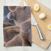 南極大陸,南ジョージア島,キングペンギン キッチンタオル (四つ折り)