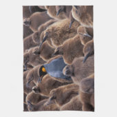 南極大陸,南ジョージア島,キングペンギン キッチンタオル (縦)