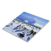 南極大陸,南極半島,ウェッデル海, 5 タイル (側面)