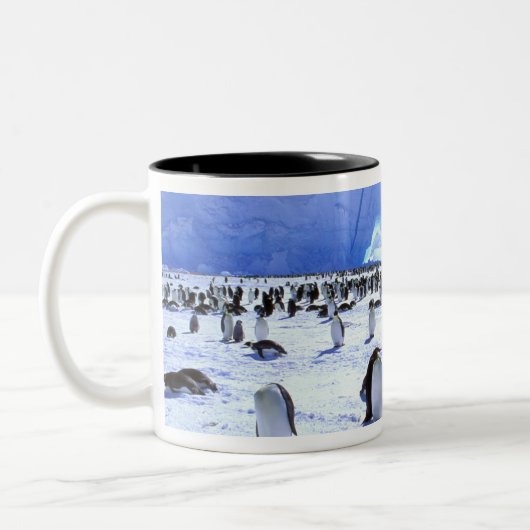 南極大陸,南極半島,ウェッデル海, 5 ツートーンマグカップ (左)