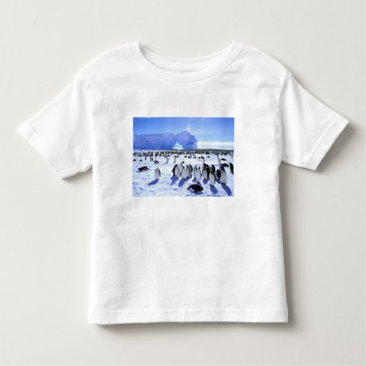 南極大陸，南極半島，ウェッデル海， 5 トドラーTシャツ (正面)