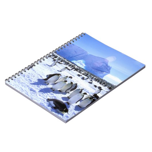 南極大陸,南極半島,ウェッデル海, 5 ノートブック (左側)