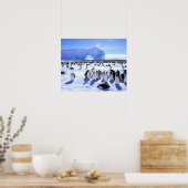 南極大陸，南極半島，ウェッデル海， 5 ポスター (キッチン)