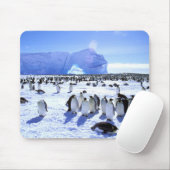 南極大陸，南極半島，ウェッデル海， 5 マウスパッド (マウス)