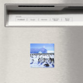 南極大陸，南極半島，ウェッデル海， 5 マグネット (インサイチュ (食洗機))