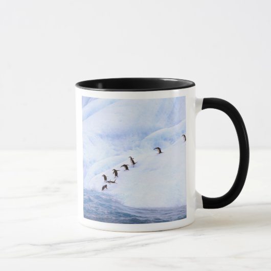 南極大陸・南極半島 コウテイペンギン マグカップ (右)