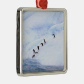 南極大陸、南極半島。チラップ メタルオーナメント (右)