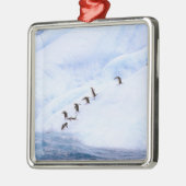 南極大陸、南極半島。チラップ メタルオーナメント (左)