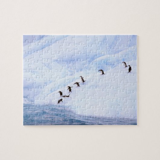 南極大陸・南極半島 マメヒゲペンギン ジグソーパズル (横)