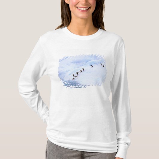 南極大陸・南極半島 マメペンギン Tシャツ (正面)