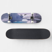 南極大陸。南極氷上脱出2 スケートボード (横)