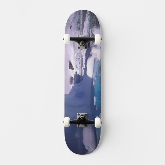 南極大陸。南極氷上脱出2 スケートボード (正面)