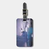 南極大陸。南極氷上脱出2 ラゲッジタグ (正面縦)