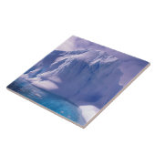 南極大陸。南極氷河脱出 タイル (側面)